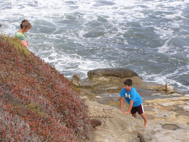 climbingtherocks.jpg